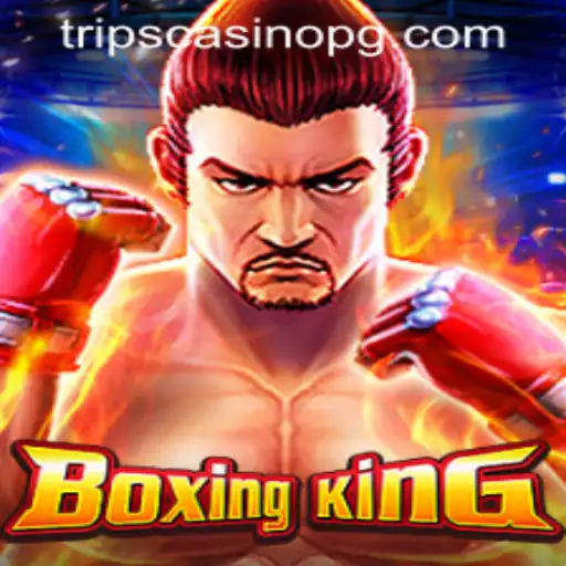 BoxingKing: A Comprehensive Guide and Introduction